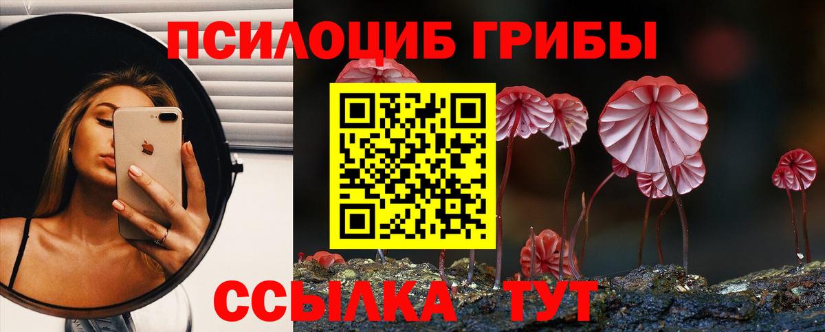 Псилоцибиновые грибы Psilocybine cubensis  Вход с VPN  Псилоцибиновые грибы GOLDEN TEACHER  Электросталь 